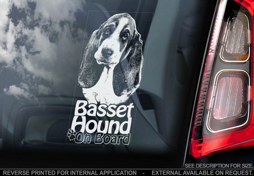 Basset hound dog car window - hound,