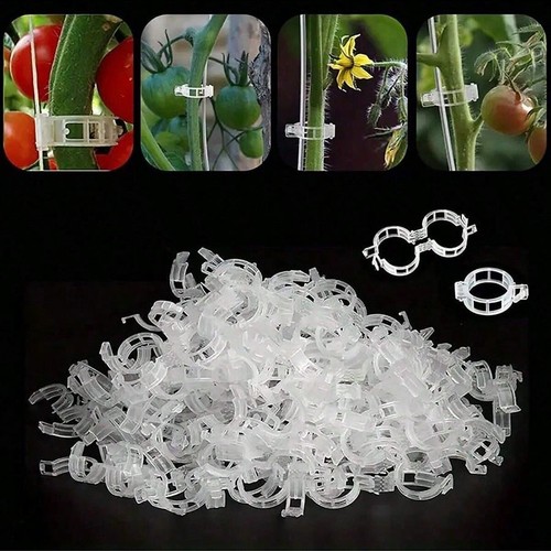 100x clip tomato and - clip, veggie