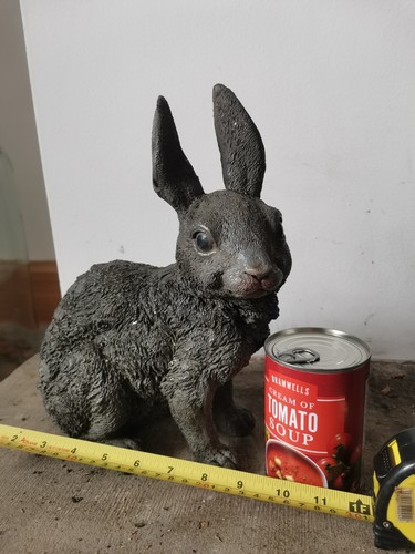 Massive grey franz - massive,