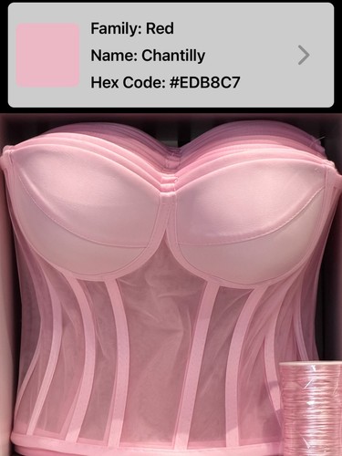 Stunning transparent mesh - transparent,