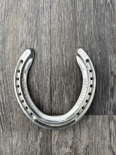 Lucky horseshoe genuine - genuine, race