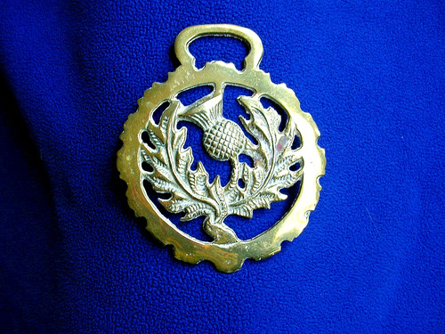 Vintage brass horse medallion - horse,