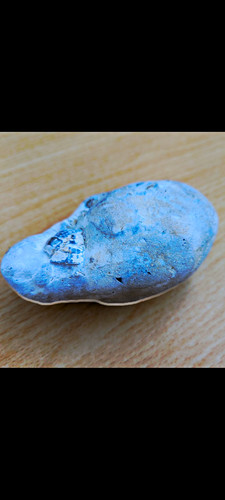 Echinoid sea urchin flint - echinoid-,
