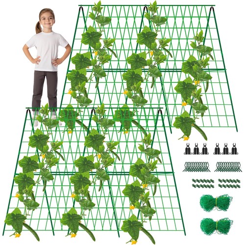 48x48 inch garden cucumber - garden,