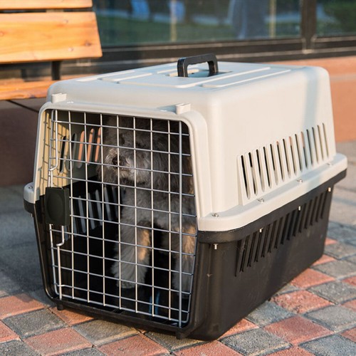 Large dog cat carrier box - dog,