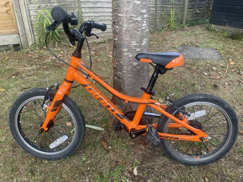Giant arx kids - giant,