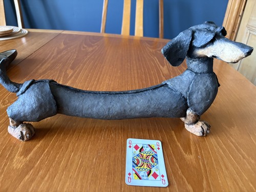 Lofty the dachshund dog - dachshund,