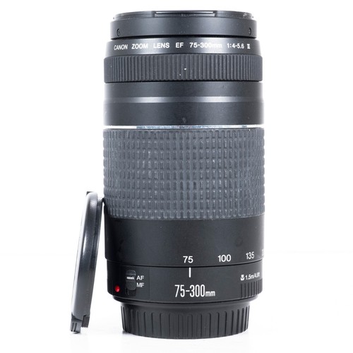 Canon 300mm 5 - canon, 75-300mm