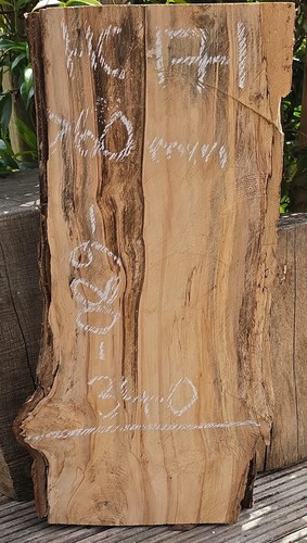 Spalted chestnut live edge - spalted,