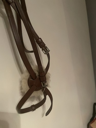 Pony grackle bridle brown - bridle,