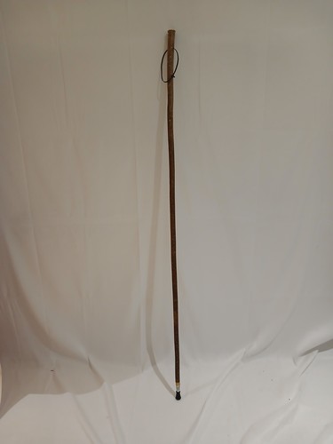Walking stick king charles - stick,