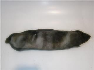 Mud flap right rear toyota - flap,