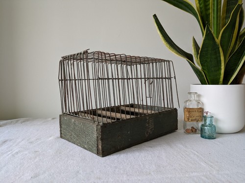 Vintage green wire show - vintage, carry