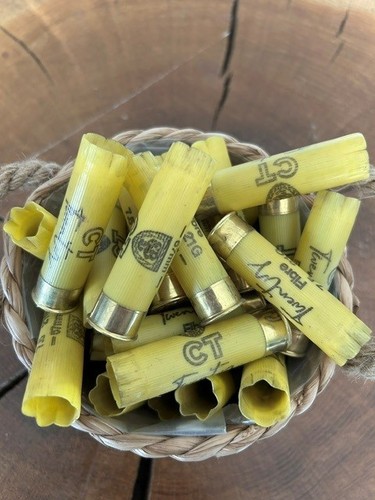 Spent shotgun cartridge cases - spent,