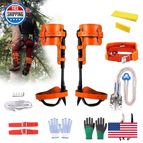 Rohseson tree climbing gear - tree,