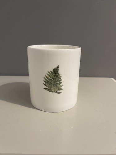 Woodland fern plant pot - fern,