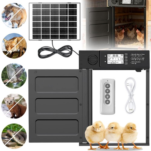 Automatic chicken coop - automatic, door