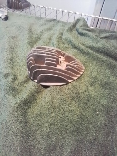 Bsa bantam head - head,