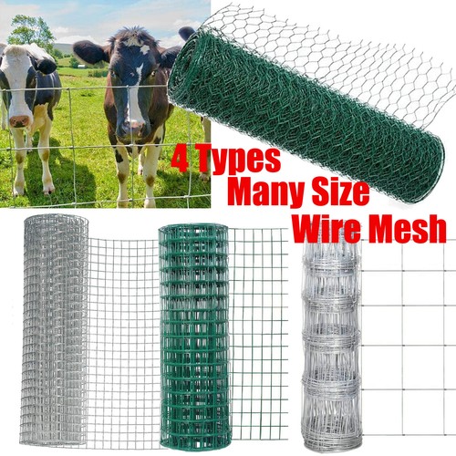Welded wire mesh aviary fence - wire,