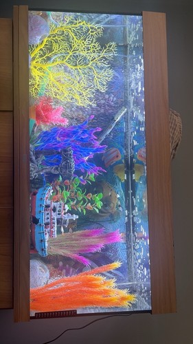 Juwel rio 180 aquarium - rio, led