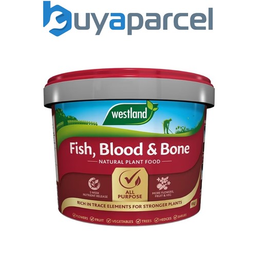 Westland fish blood bone - fish, all