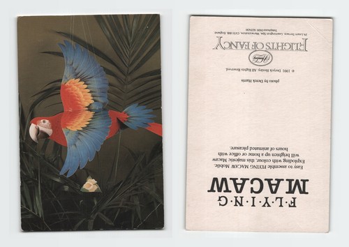 Vintage postcard flying macaw - vintage,