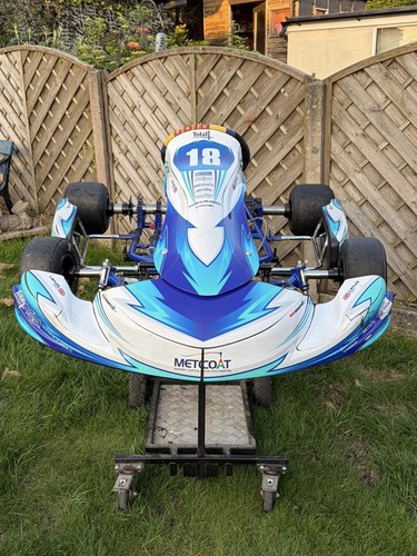 2022 gold kart gtr30 - gold,