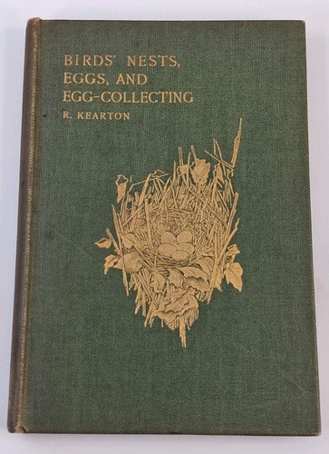 Birds nests eggs and - nests,,