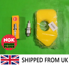 Service Kit Briggs & Stratton