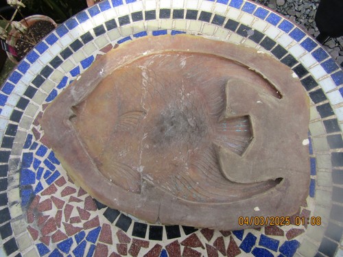 Latex and fiberglass mould - and,