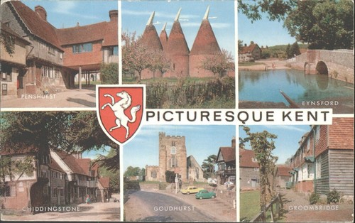 Vintage salmon postcard - j.,