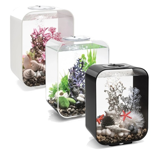 Life aquarium with multi - 15,