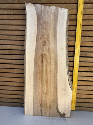 Wide european walnut - walnut, slab