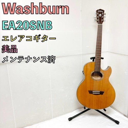 Washburn ea20snb - washburn,