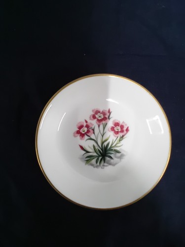 Hand painted royal - painted,