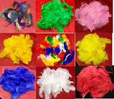 Feathers for Art & Crafs - Guinea Fowl & Turkey