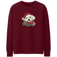 Christmas Bichon Frise