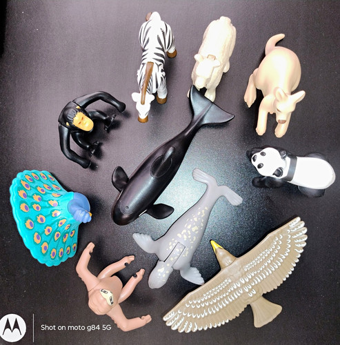 Animal plastic figures set - animal,