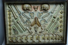 VERY OLD ANATOMICAL TRAVELLING