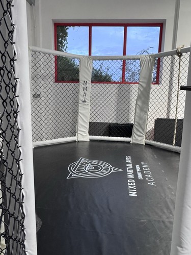 Octagon mma training - mma,