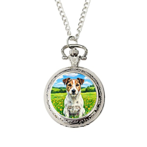 Jack russell terrier - jack,