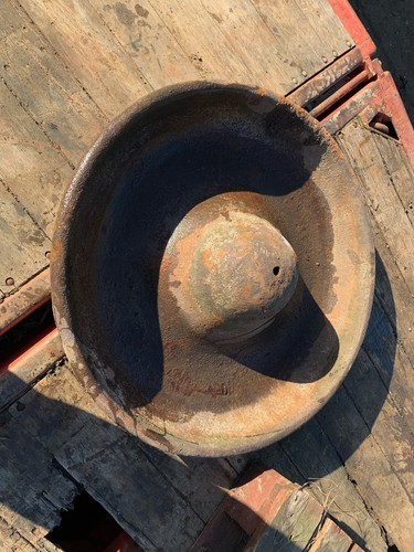 Mexican hat pig - mexican,