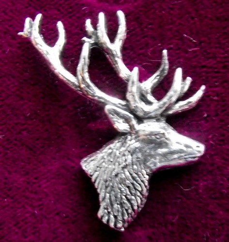 Scottish red deer stags head - red,