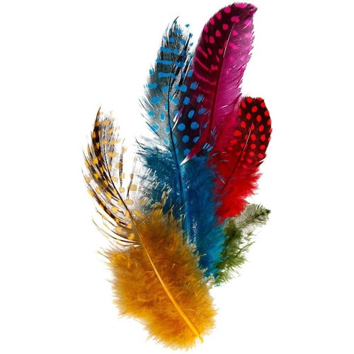 Creativ company guinea - company,