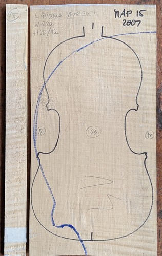 Map15 maple acer violin - ,