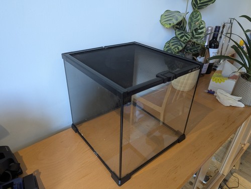 Reptile one mini - reptile, terrarium