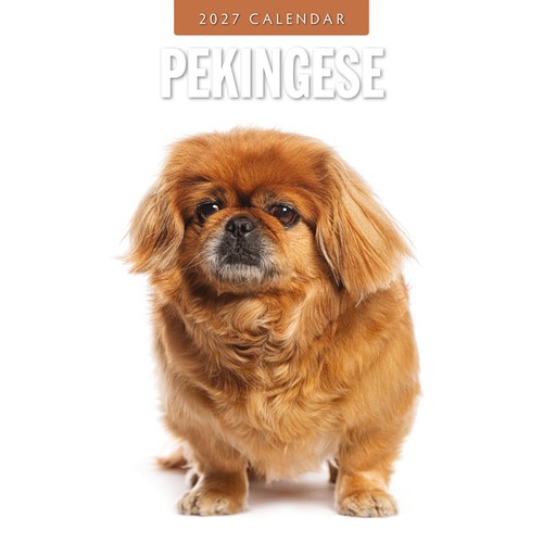 Pekingese 2027 square - 2027, wall