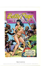 Dave Stevens BETTY PAGE - THE