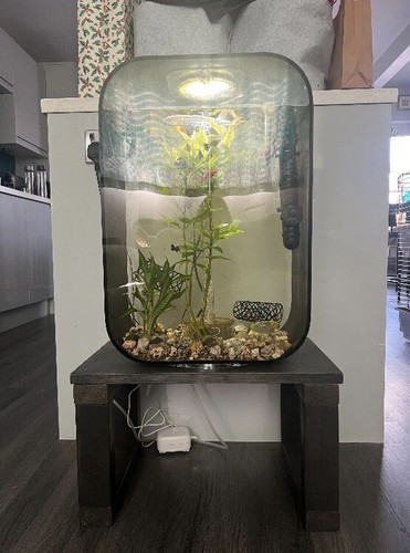 Wooden fish tank stand small - fish,