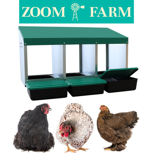 Chicken nest boxes